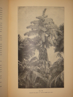 "Среди патриархов земледелия народов Ближнего и Дальнего Востока ( Египет, Индия, Цейлон, Китай и Япония ). В 3-х томах". И.Н.Клинген. 1899г.
