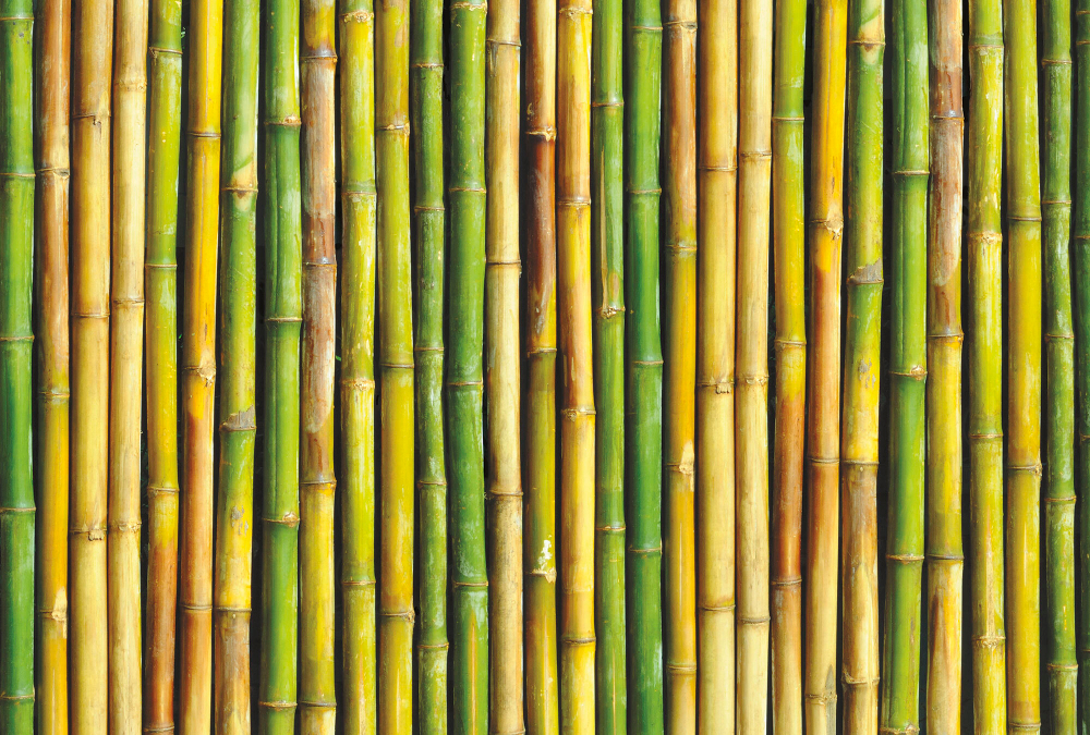 Коллекция Текстуры и фактуры