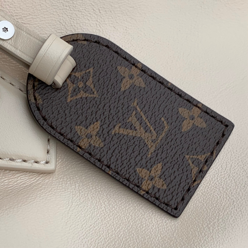 Louis Vuitton Speedy Cargo Vibe