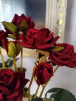 Роза кустовая бархатная, в кашпо.