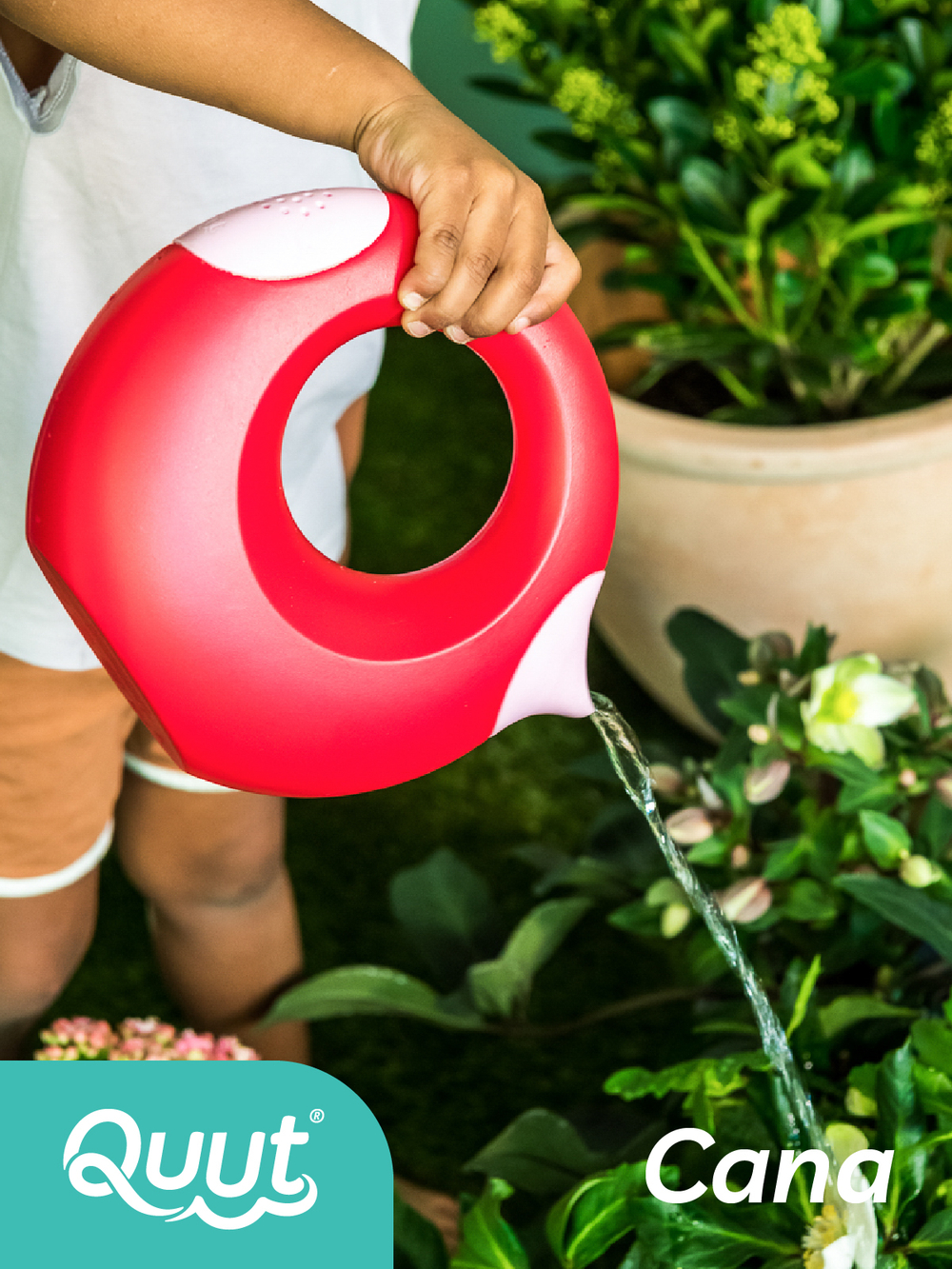 Волшебная лейка Cana (1 л)