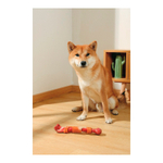 Игрушка M-PETS Карнивор кость, вкус бекона для собак, цвет красный, 25.4x5.5x4.8 см