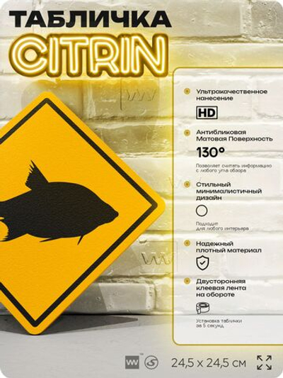 Табличка декоративная "Лещ" на дверь и стену, информационная и предупреждающая, декоративный знак, 24,5х24,5 см, пластиковая, Айдентика Технолоджи