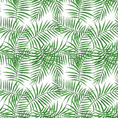 Пальмовые листья