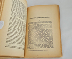 "Этюды оптимизма : С портр. автора и 27 рис". 1917г.