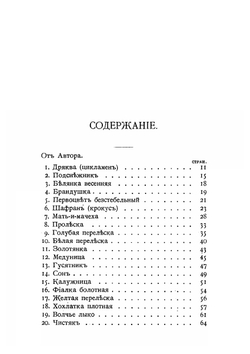 Наши весенние цветы. Популочерки Димитрия Кайгородова. Серия 1 | Кайгородов Дмитрий Никифорович