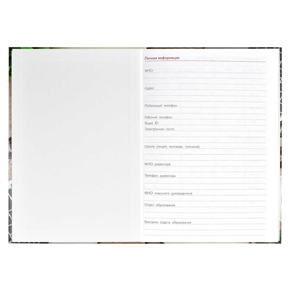 5f6dcb38_cc71_11ed_ba91_d05099d5d12d_81cdc3ab_240f_11ef_ba96_d05099d5d12d