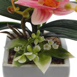 GAEM Цветочная композиция "Орхидея", L16 W9,5 H42 см