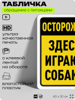 Табличка "Осторожно, здесь играют собаки" на дверь и забор, для двора, дома, подъезда, 40х30 см, Silver Plane x Айдентика Технолоджи