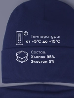 Шапка для мальчика осенняя со снудом