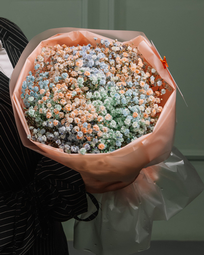 Моно букет из гипсофилы