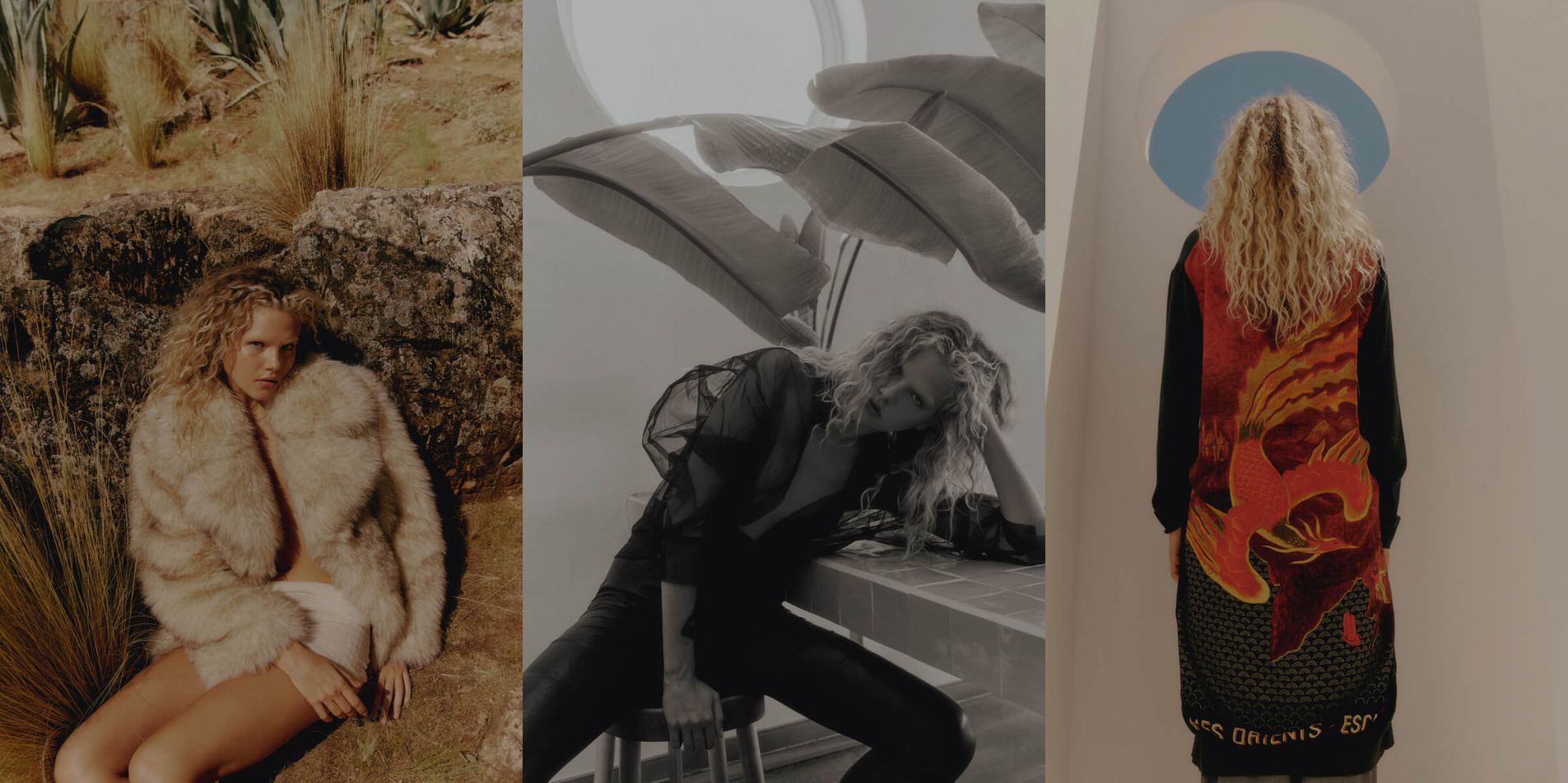 Mes Demoiselles Paris