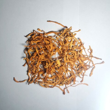 Кордицепс, гриб