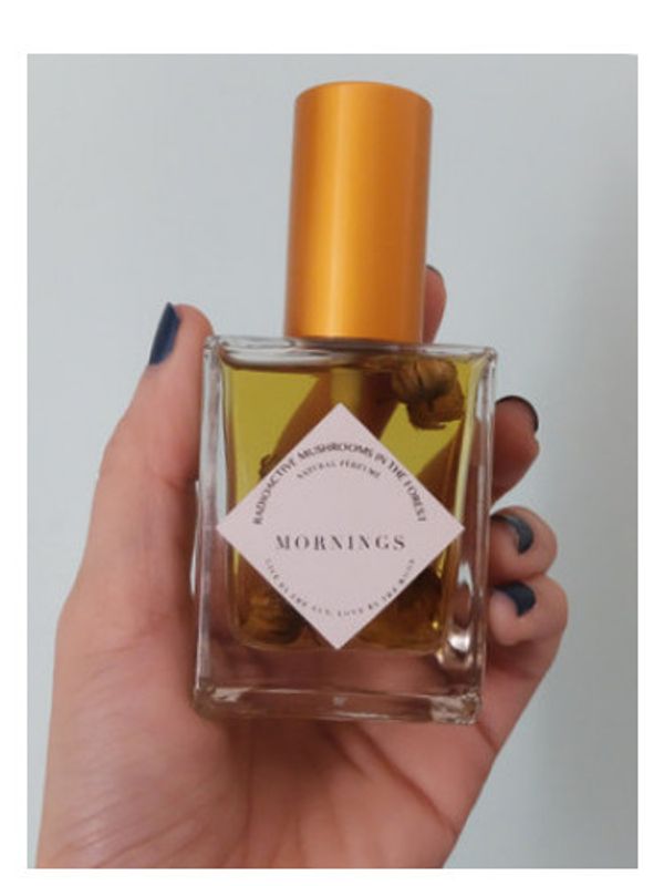 Radioactive Mushrooms in the Forest Mornings