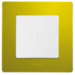 Рамка 1 пост зелёный папоротник ETIKA Legrand