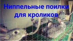 Ниппельная поилка д/ кроликов