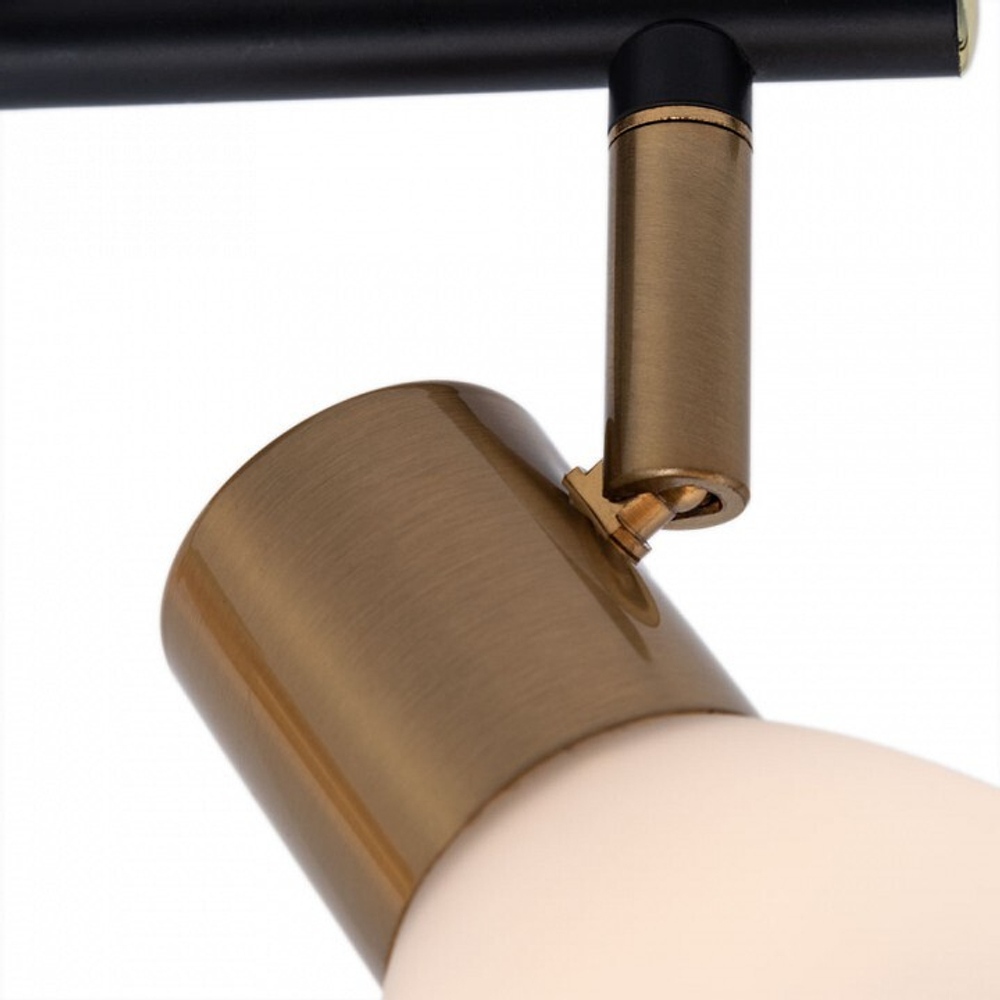 Спот Arte Lamp Falena A3117PL-2BK