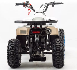 Квадроцикл MOTOLAND (МОТОЛЕНД) 110 EAGLE