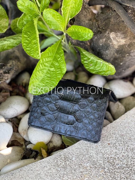 Портмоне из кожи Драгон питона для паспорта, денег и карт WA-193