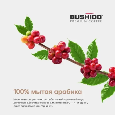 Кофе растворимый BUSHIDO Light Katana, 100 г