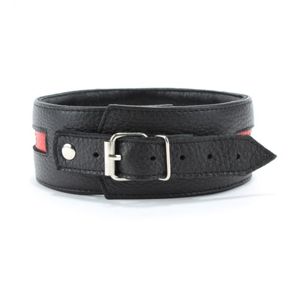 Черно-красный ошейник на пряжке (Цвет: черный с красным)