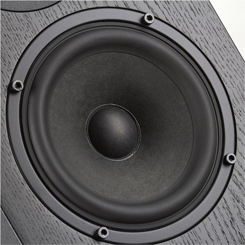 Radiotehnika Vita 2.05 Black Ash полочная профессиональная акустическая система (пара)