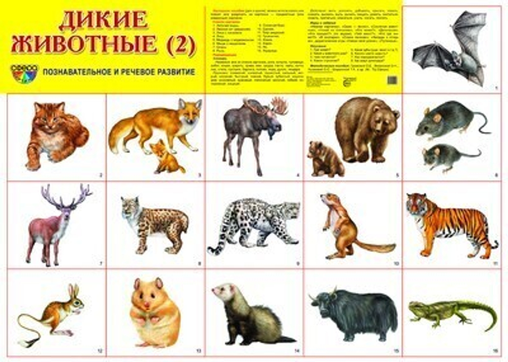 Плакат"Дикие животные" И