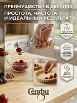 Косточковыдавливатель для вишни и оливок