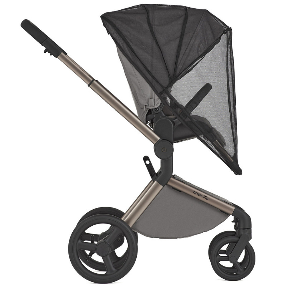 Детская коляска Anex Flo 2 в 1 Charm