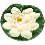 Растение водоплавающее «Кувшинка Розитта» d-15см белая