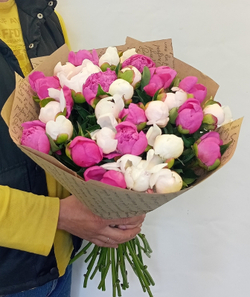 Букет пионов Микс