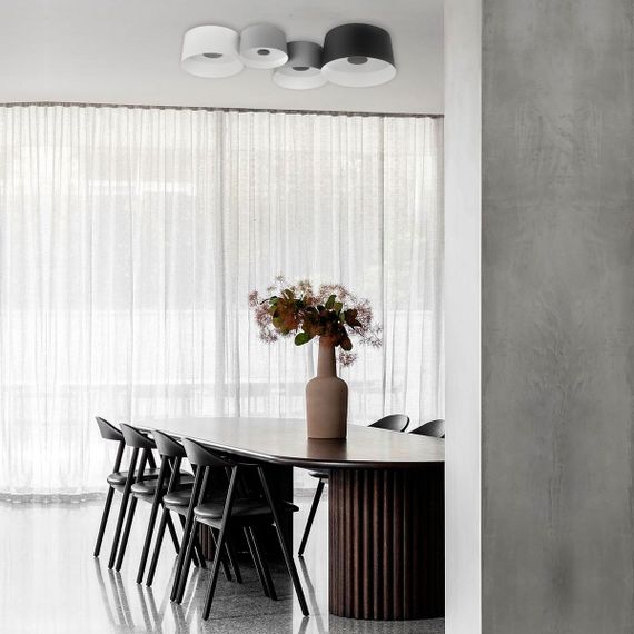 Потолочный светодиодный светильник Loft IT Duo 10360/2