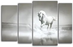 Модульная картина "Белый жеребец"