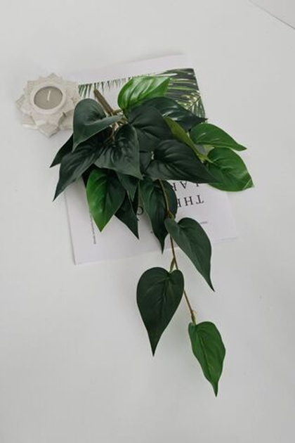 Куст фикуса ампельный / Арт 6375