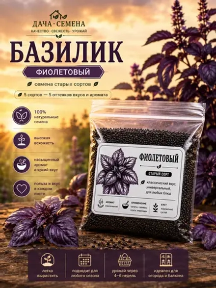 Базилик фиолетовый семена