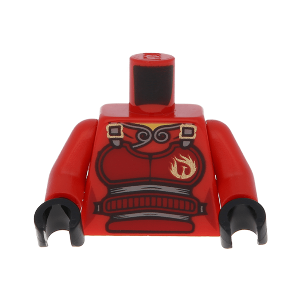 Торс от Самурая Икс/X / Нии 973pb1066c01