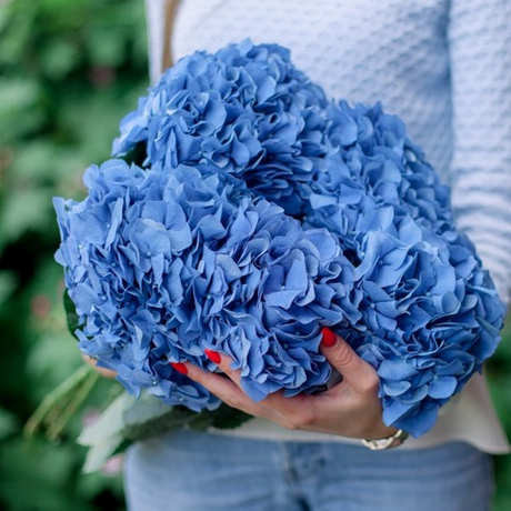 Букет из гортензий