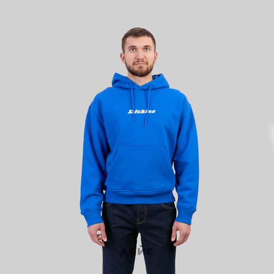 Толстовка мужская Dickies Enterprise Hoodie артикул:DK0A4Z2NJ531 - купить в магазине Дайс