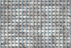 FRAME 7