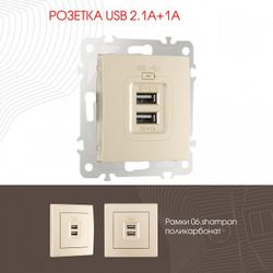 Розетка USB, без рамки Arte Milano am-206 206.46-1.shampan
