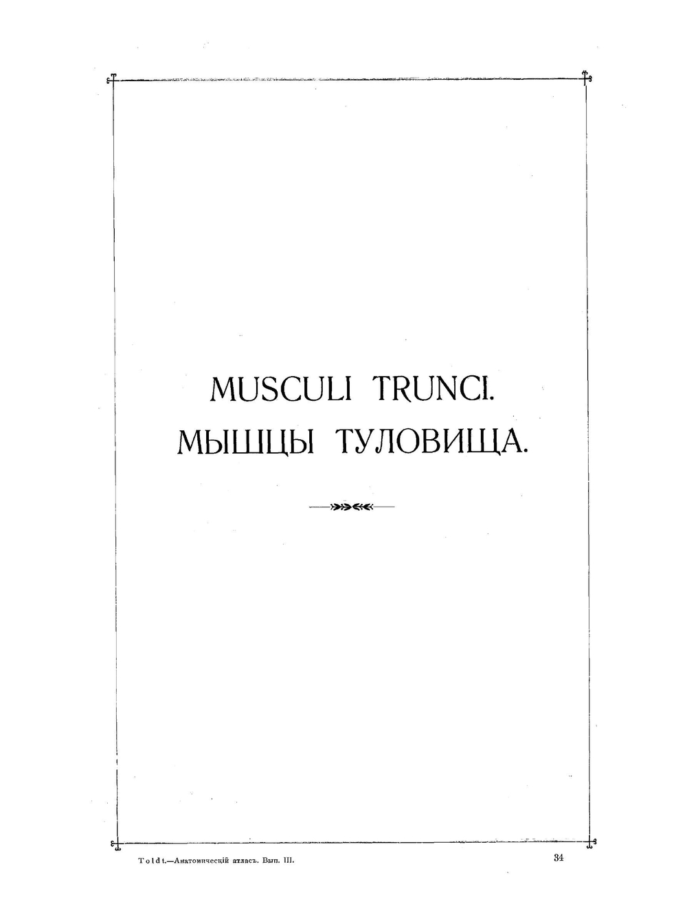 Анатомический атлас для студентов и врачей. Выпуск 3 | К. Толдт