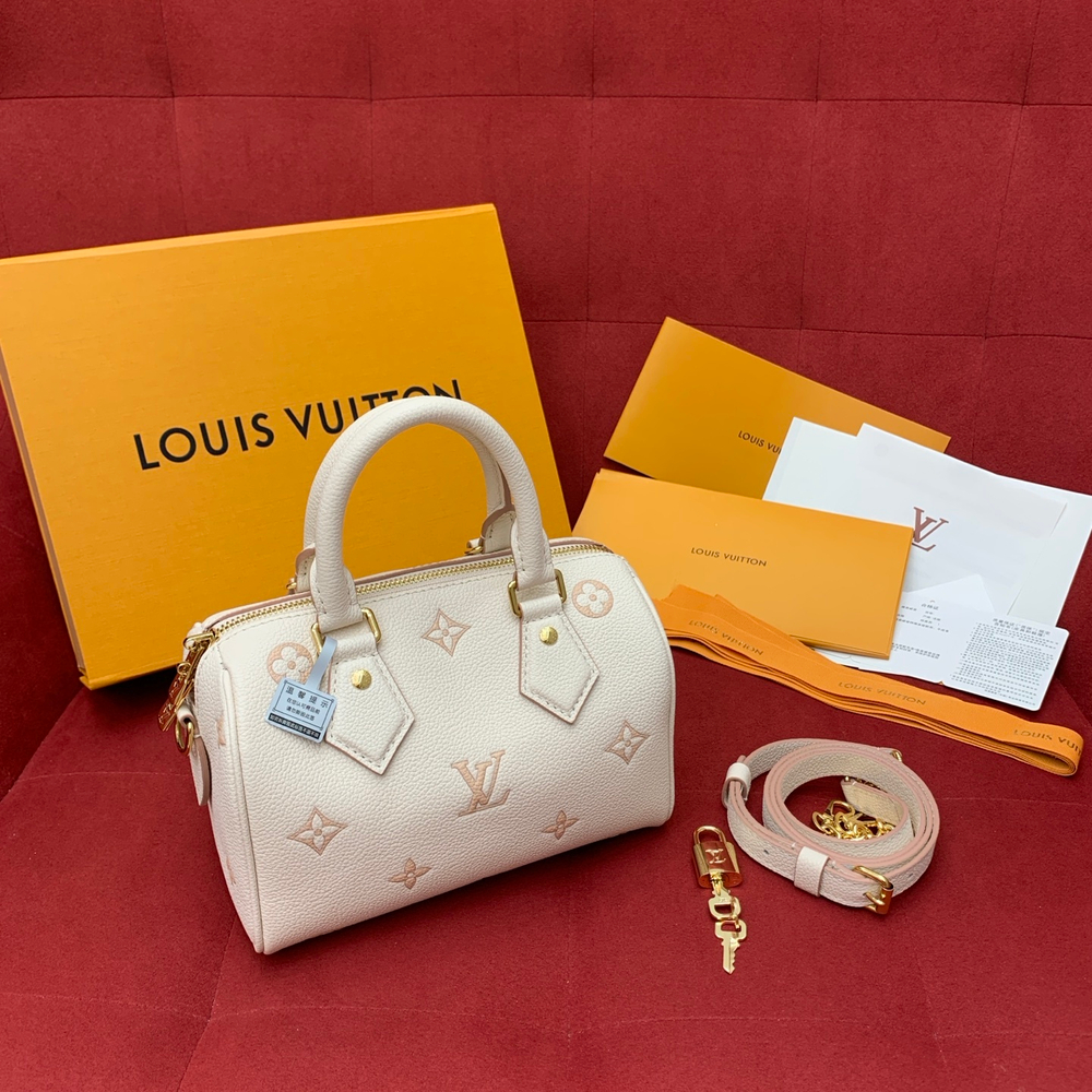 Louis Vuitton Speedy 20