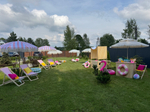 Flamingo Summer Party