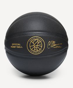 Мяч баскетбольный Money Ball-2025 №7