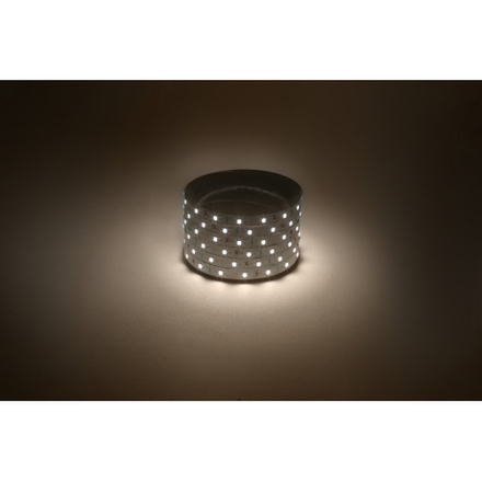 Светодиодная лента ЭРА LS2835 -60LED-IP20-WW-eco-5m