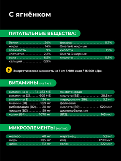 Корм сухой для взрослых собак породы Ши-тцу, с ягненком, 3 кг, QUATTRO