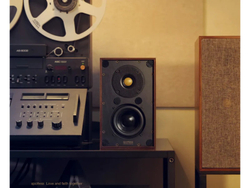 Акустические системы Spotless Audio Eternal 4.2