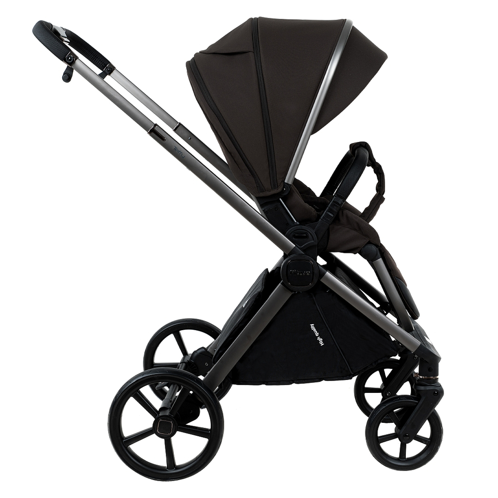 Коляска 2 в 1 Pituso Teffy Turkish Coffee шасси Graphite