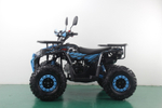 Квадроцикл Racer FREELANDER PRO125 XTS