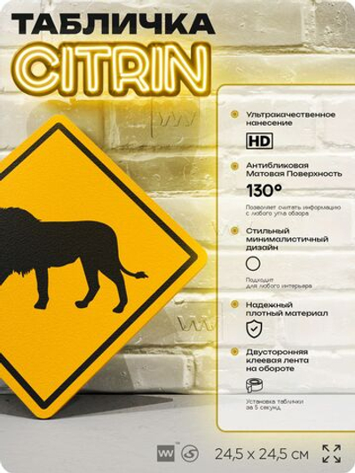 Табличка прикольная "Осторожно, львы" на дверь и стену, информационная и предупреждающая, декоративный знак, 24,5х24,5 см, пластиковая, Айдентика Технолоджи